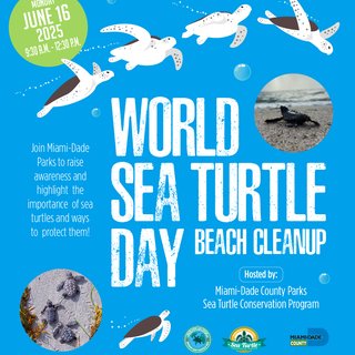 June_16_Sea_Turtle_Beach_Clean
